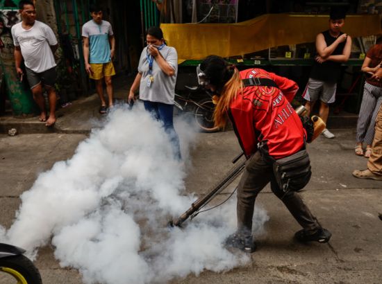 Cash Bounty for Mosquitoes: Philippine Village’s Unusual Plan to Fight Dengue