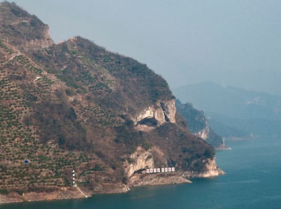 China’s ‘Puppy Mountain’ Goes Viral After Designer’s Stunning Photo