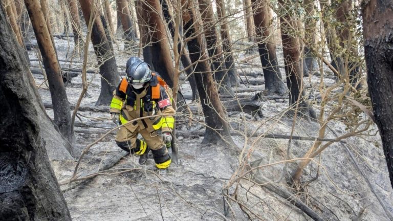 Rain Helps Contain Japan’s Worst Wildfire in Over 50 Years