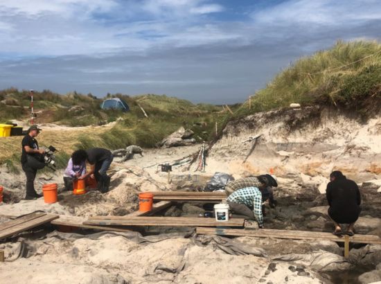 Remarkable Canoe Discovery in New Zealand Could Redefine Polynesian Maritime History