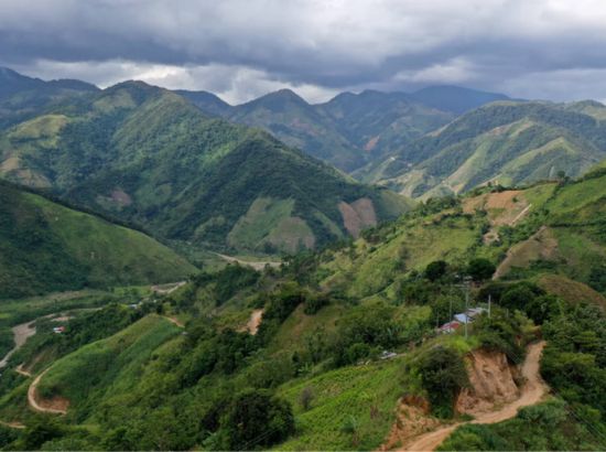 Colombia Urges UN to Reclassify Coca Leaf, Citing Its Traditional and Industrial Benefits