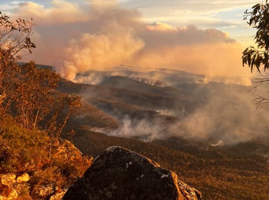 Australia Records Second-Hottest Summer, Scientists Say Climate Change Is to Blame