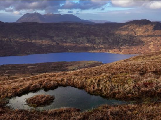 Anonymous Donor’s £17.5M Gift to Transform Scottish Estate into Rewilding Haven